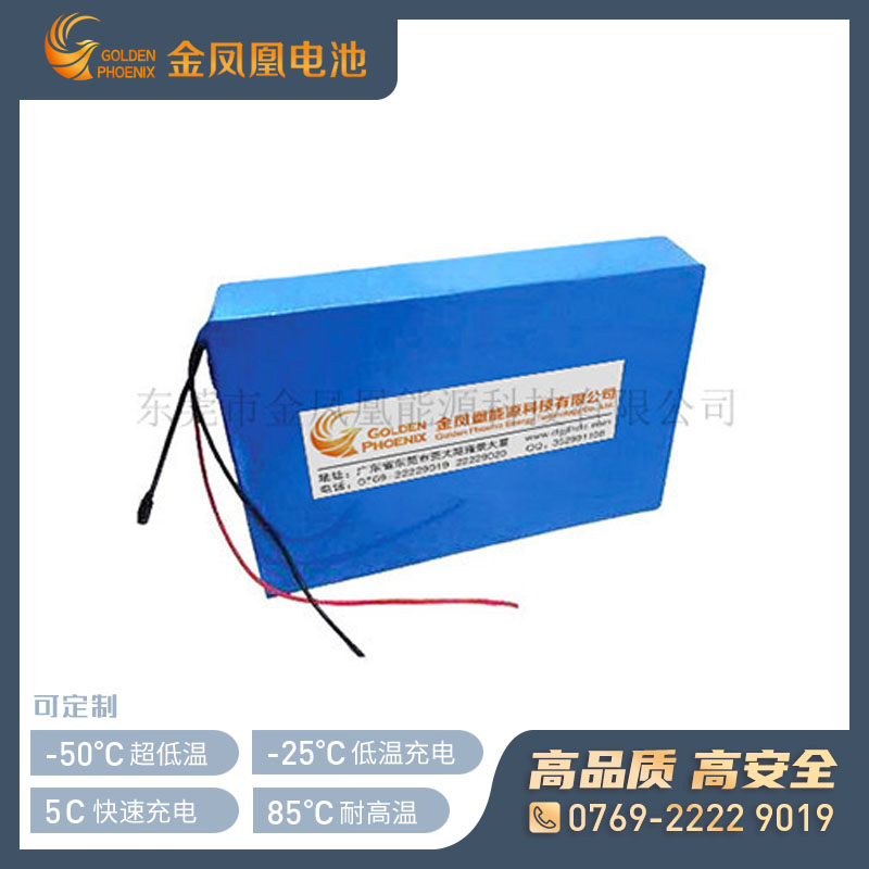 25.6V 9Ah机器人锂电池