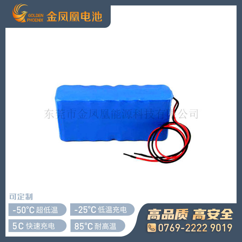 25.9V 5000mAh仪器仪表电池