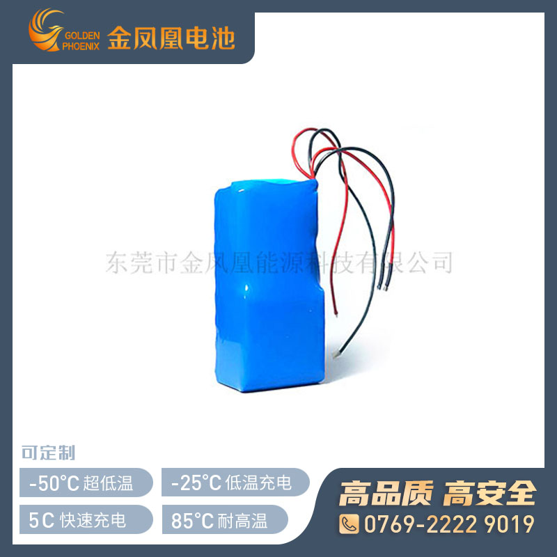 37.0V 5000mAh仪器仪表电池