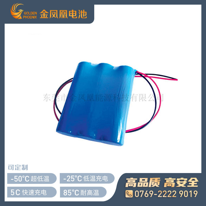 11.1V 2600mAh仪器仪表电池