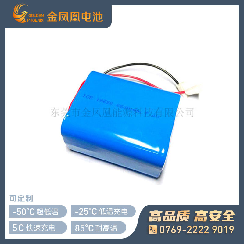 7.4V 6600mAh仪器仪表电池