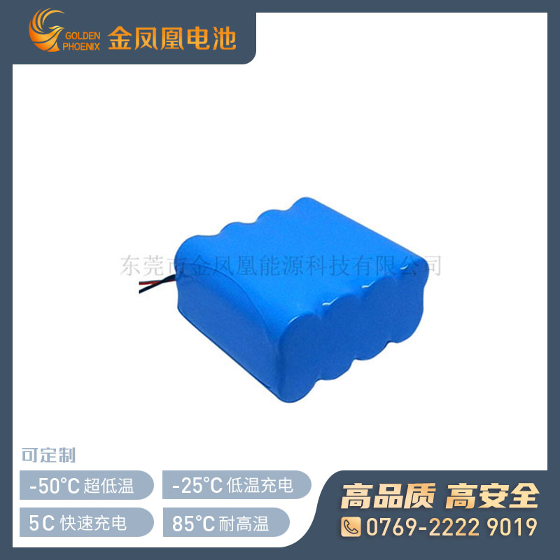 7.4V 10.0Ah仪器仪表电池