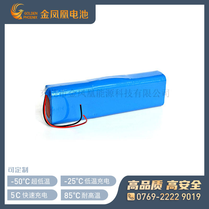 11.1V 10.0Ah仪器仪表电池