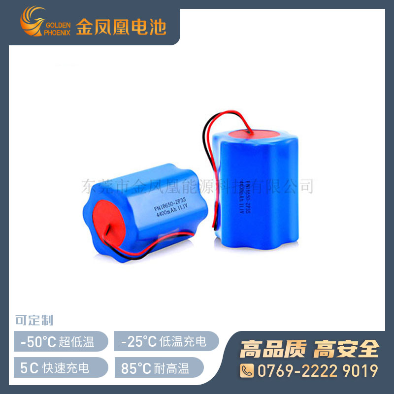 11.1V 4400mAh仪器仪表电池