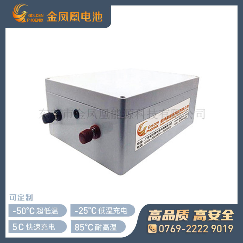 48.0V 120Ah锂电池