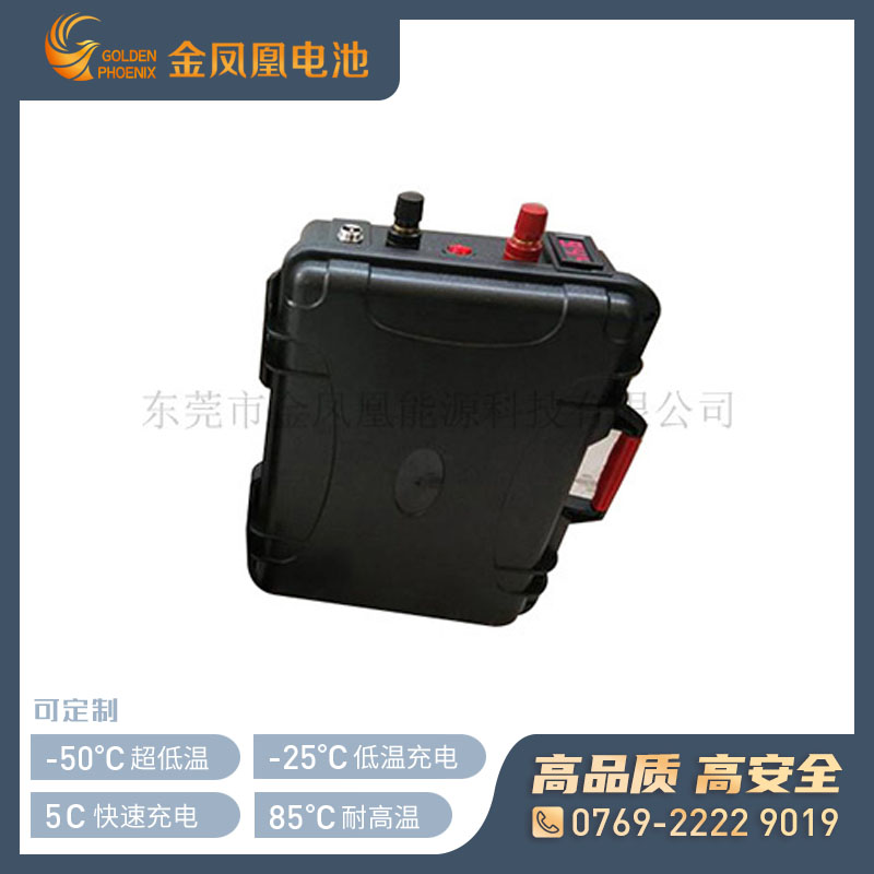 48.0V 80Ah锂电池