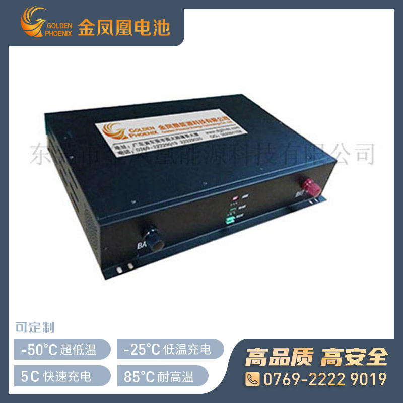 48.0V 80Ah磷酸铁锂电池