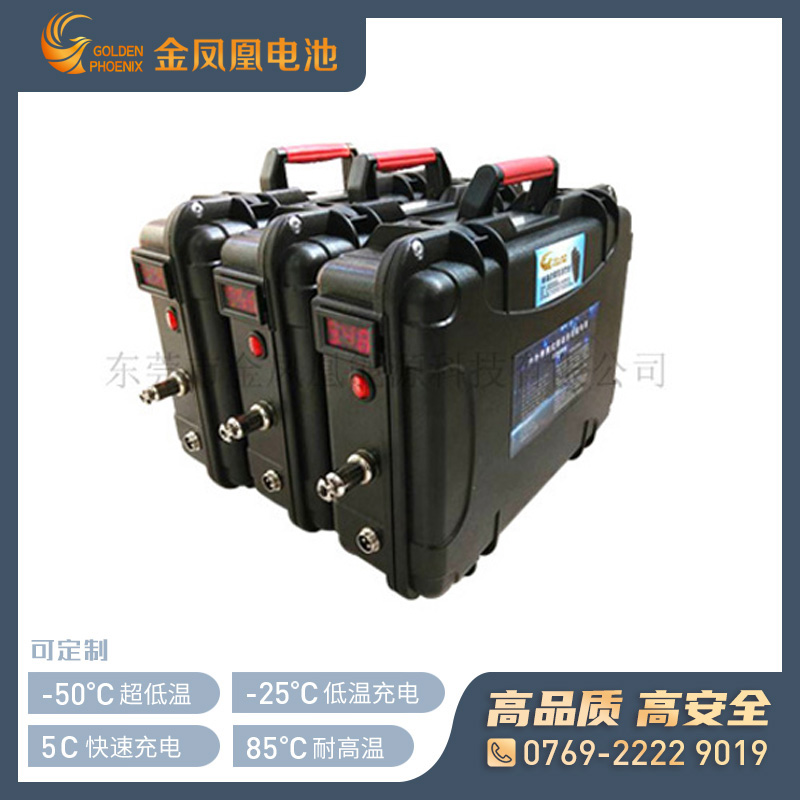 48V 20Ah锂电池