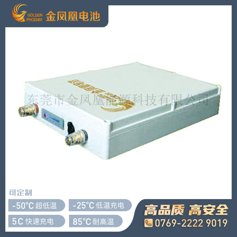 24.0V 25.0Ah锂电池