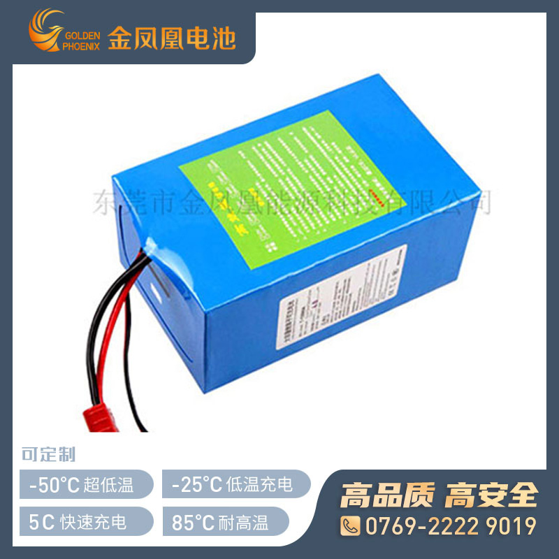 12.8V 9Ah动力锂电池