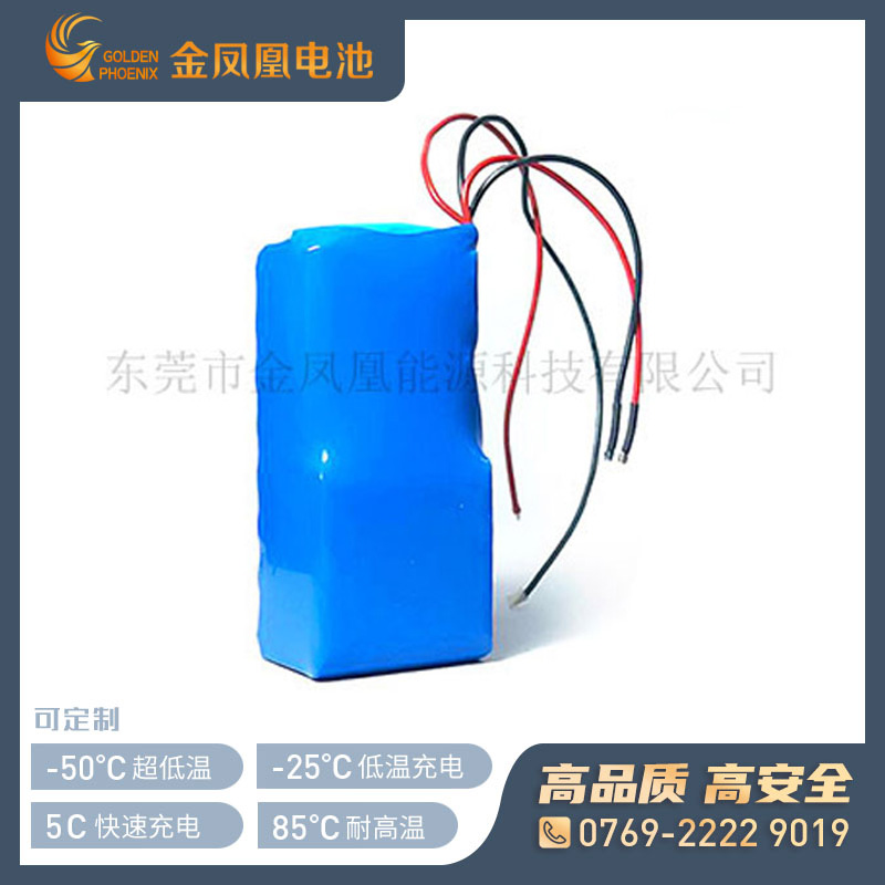 37.0V 5000mAh锂离子电池