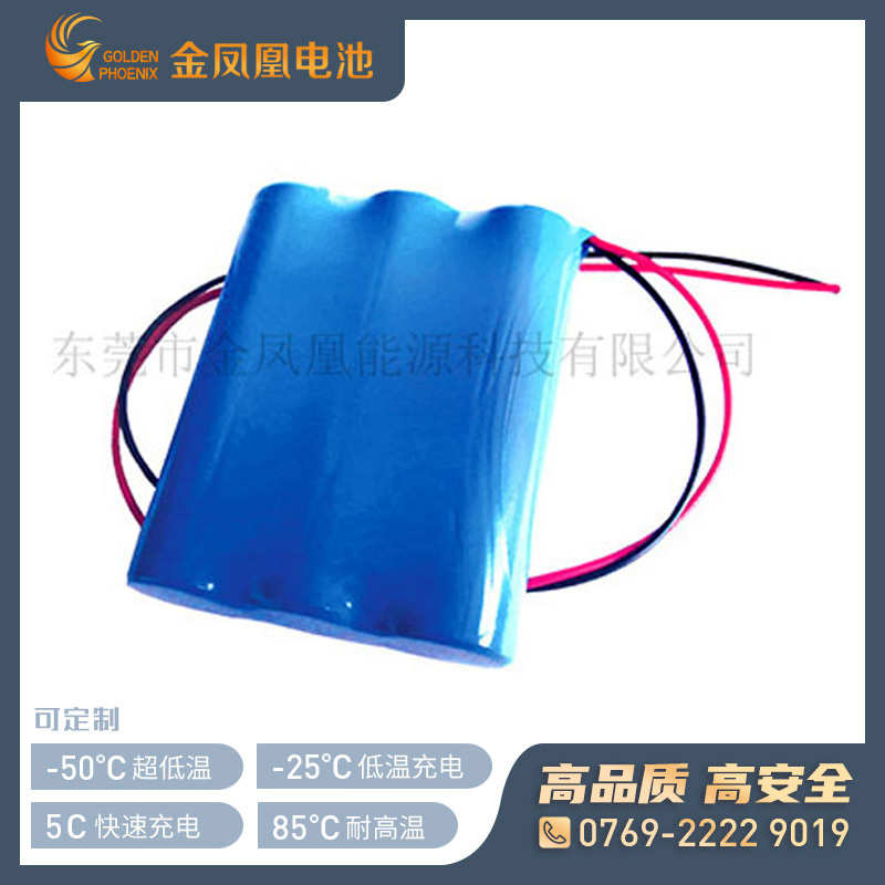 11.1V 2600mAh锂离子电池