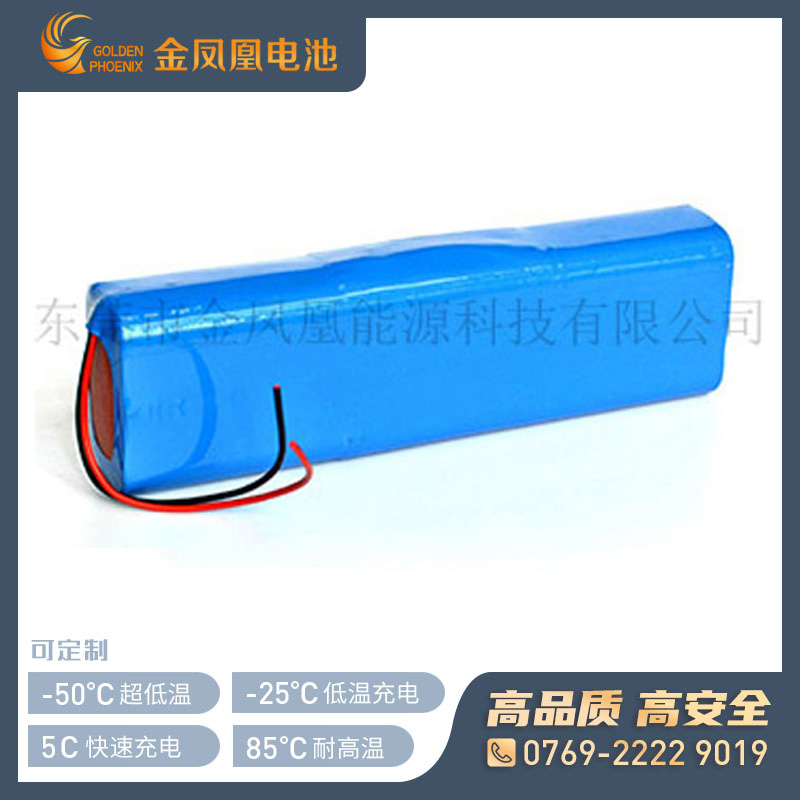 11.1V 10.0Ah锂离子电池